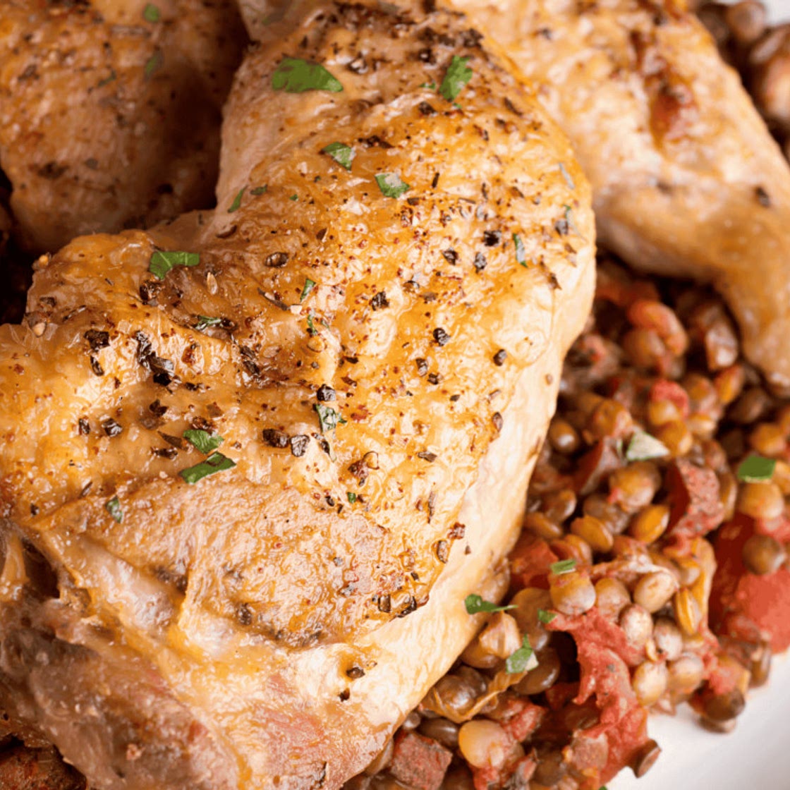 Moroccan Chicken and Lentil Stew