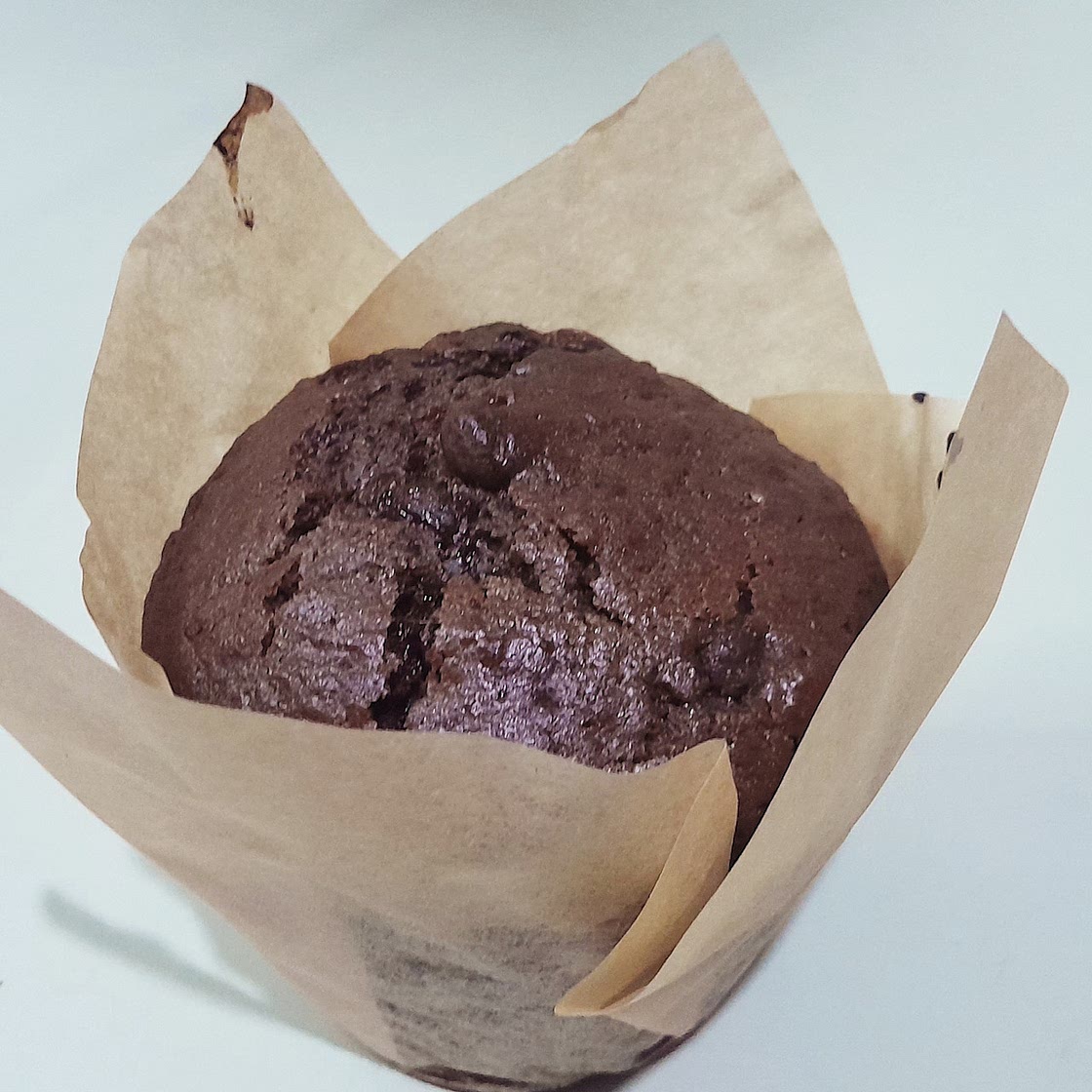 Double chocolate chips muffins