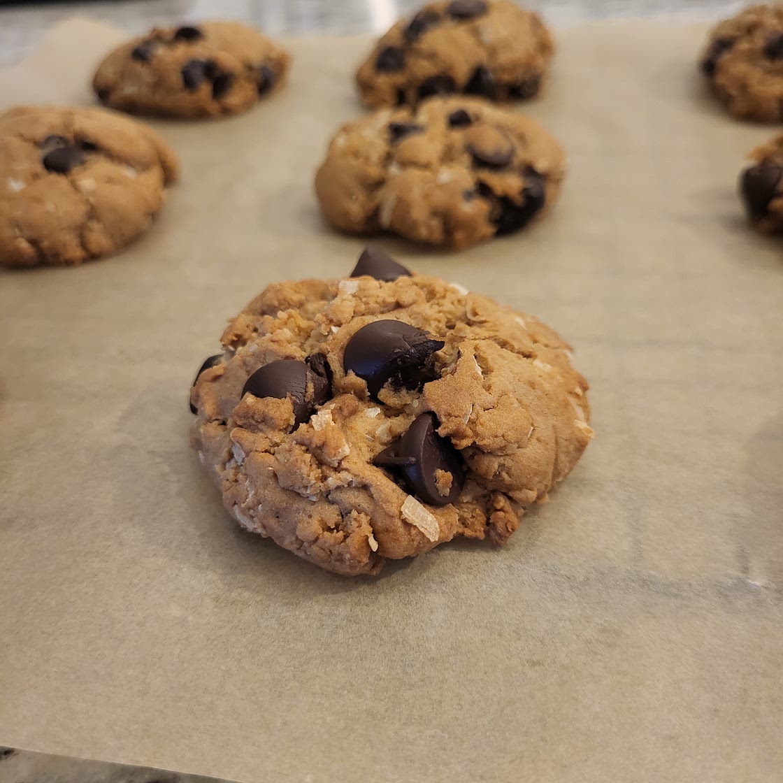 Gluten Free Lion's Mane Chocolate Chip Cookies w/Coconut