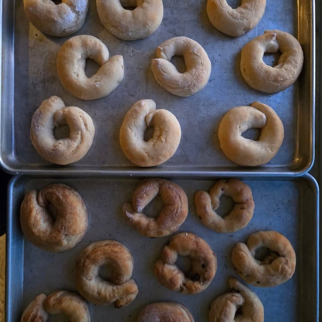 Protein Bagels