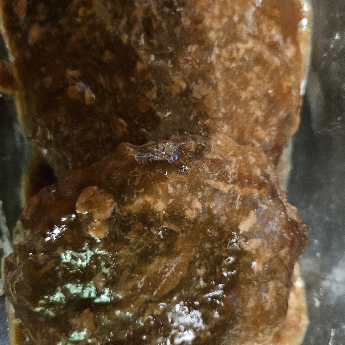Salisbury Steaks