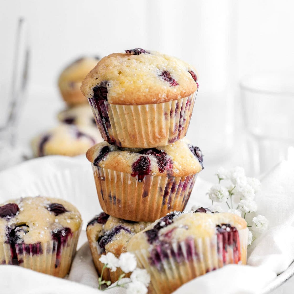 Best Homemade Blueberry Muffins