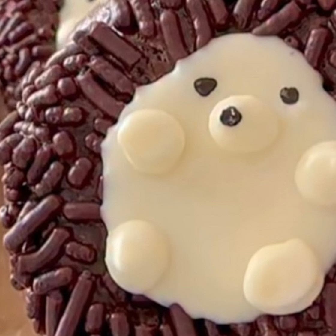 Chocolate hedgehog cookies 