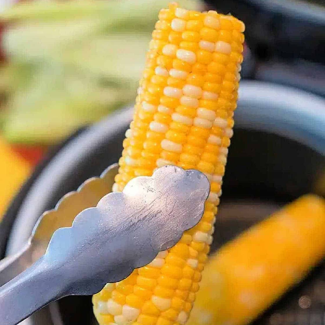 Air Fryer Corn