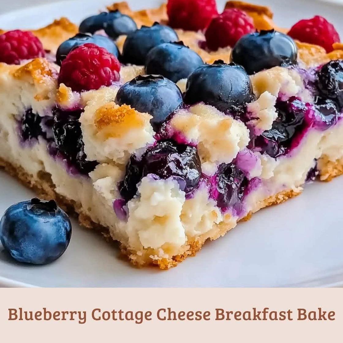 Blueberry Courage Cheese Breakfast Muffin