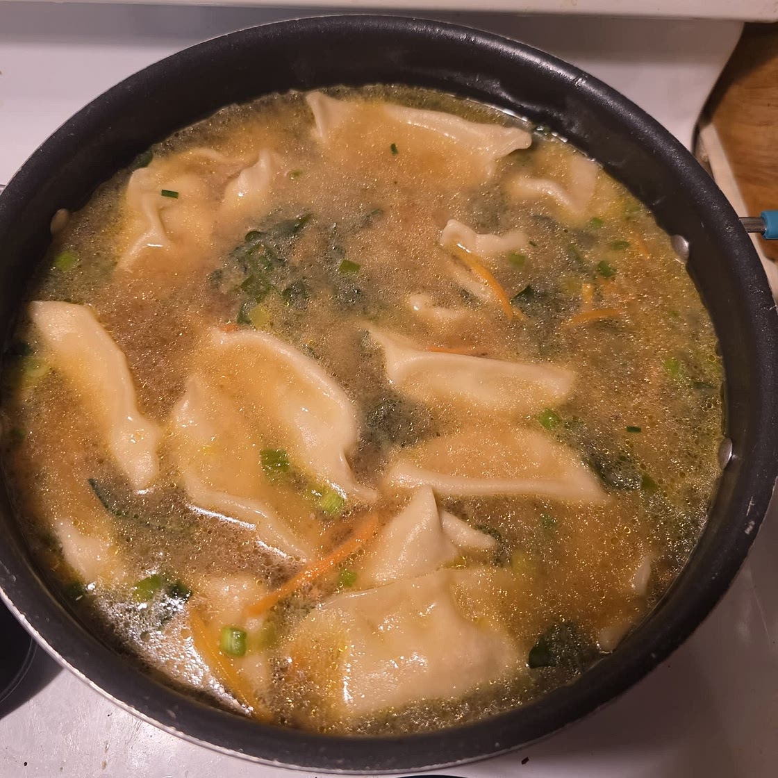 Dumpling Soup
