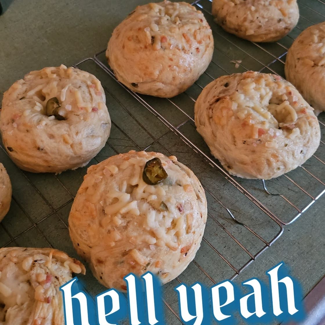 Homemade Bagels Recipe