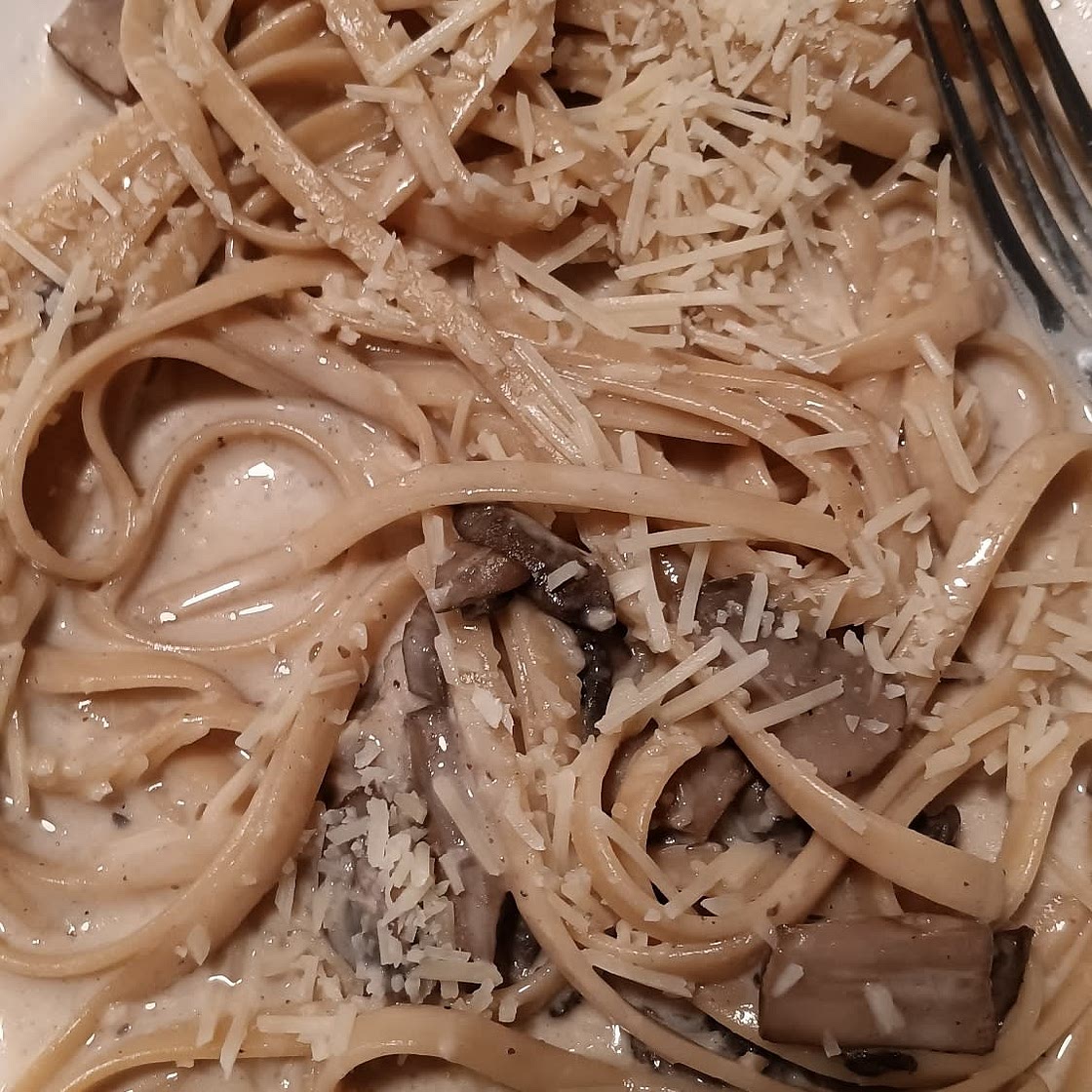 One Pot Creamy Mushroom Pasta