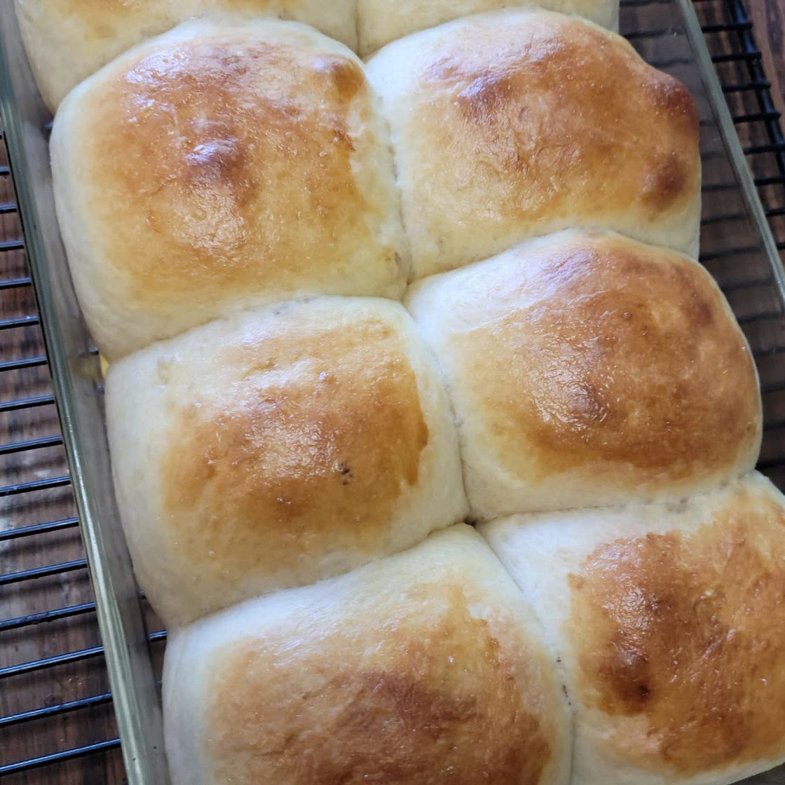 Dinner Buns