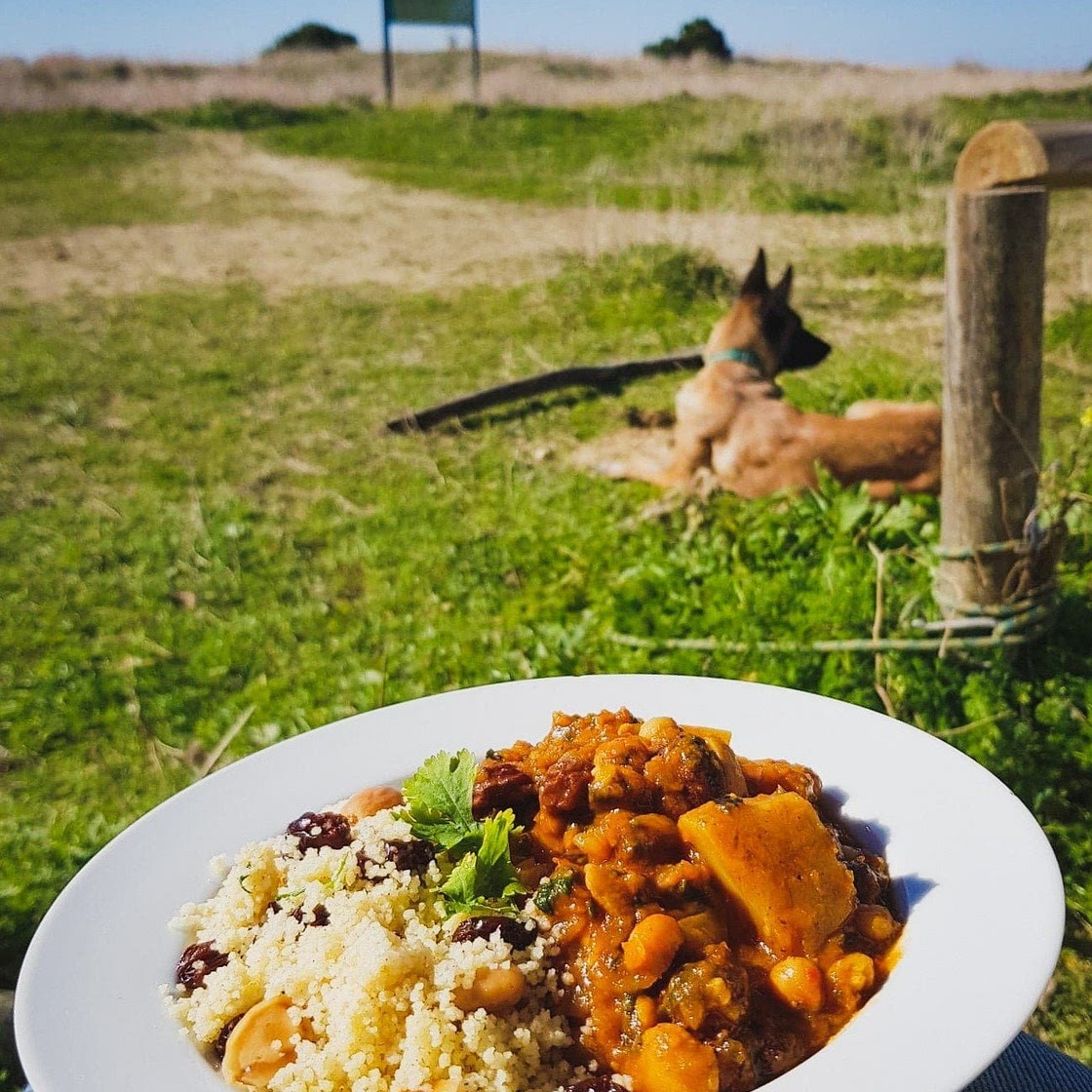 Moroccan inspired stew