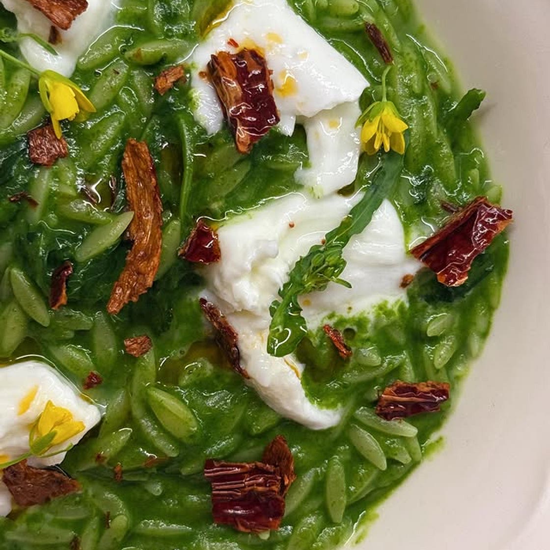 PASTINA CON CREMA DI CIME DI RAPA, PEPERONE CRUSCO E MOZZARELLA DI BUFALA 𤤠Volevo essere un duro, ma la pastina è ancora il mio piatto del cuore â¤ď¸ Se pensate che sia un piatto da bambini, questa è la ricetta che vi farĂ cambiare idea. 300g cime di rapa