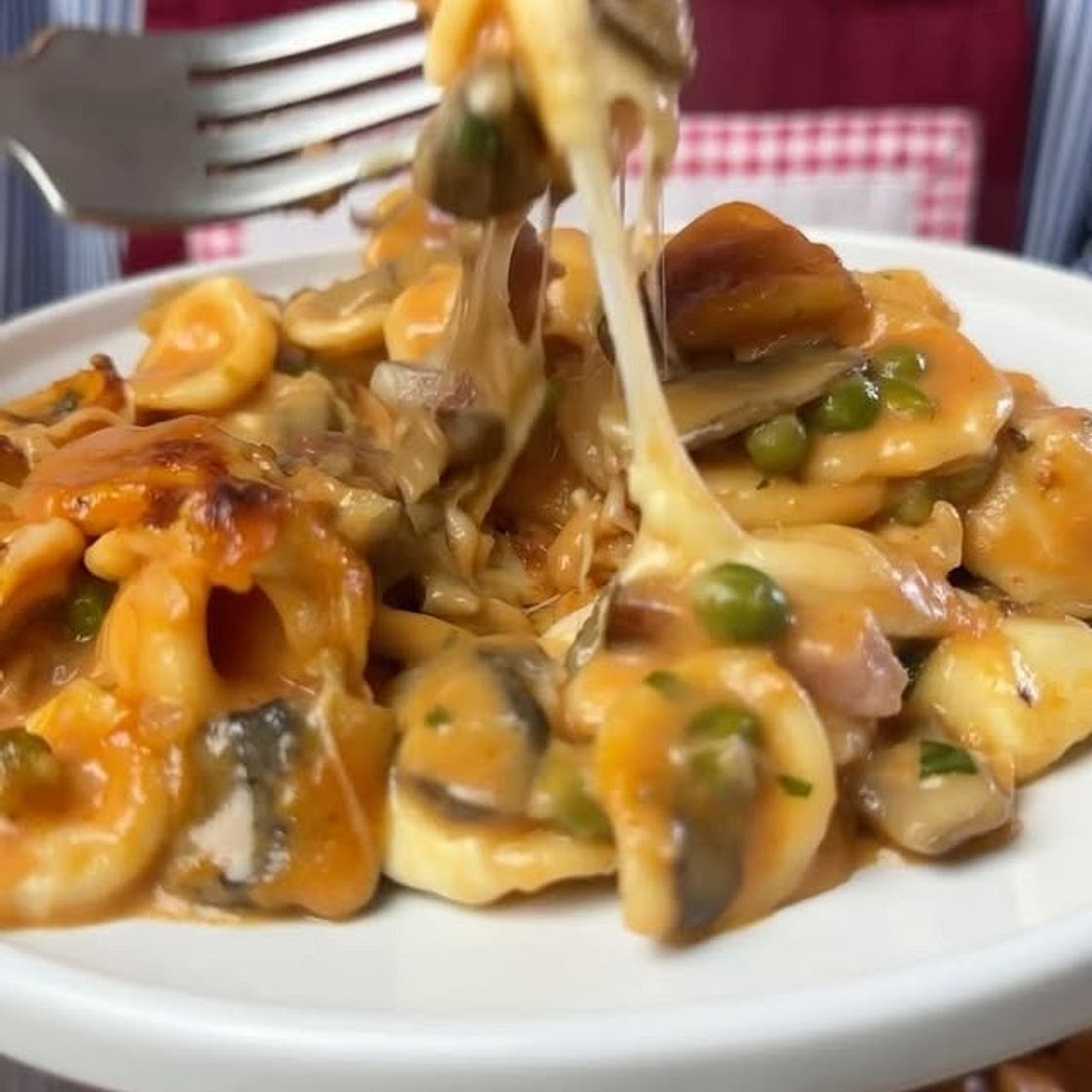 orecchiette funghi speck