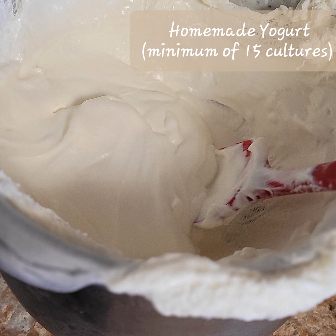 instant pot yogurt