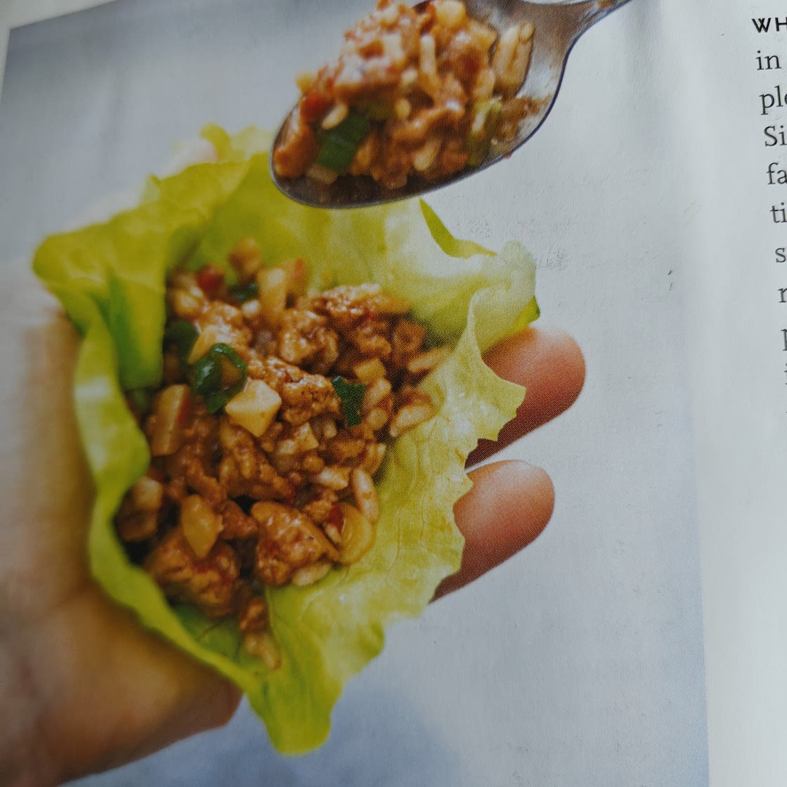 p193 Asian Chicken Lettuce Wraps