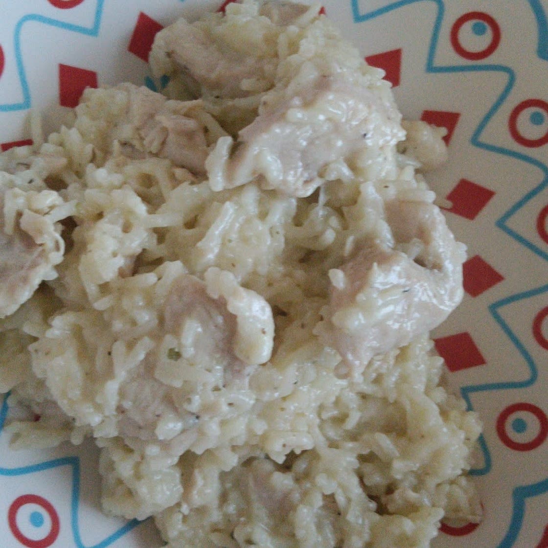 Creamy Parmesan One Pot Chicken and Rice