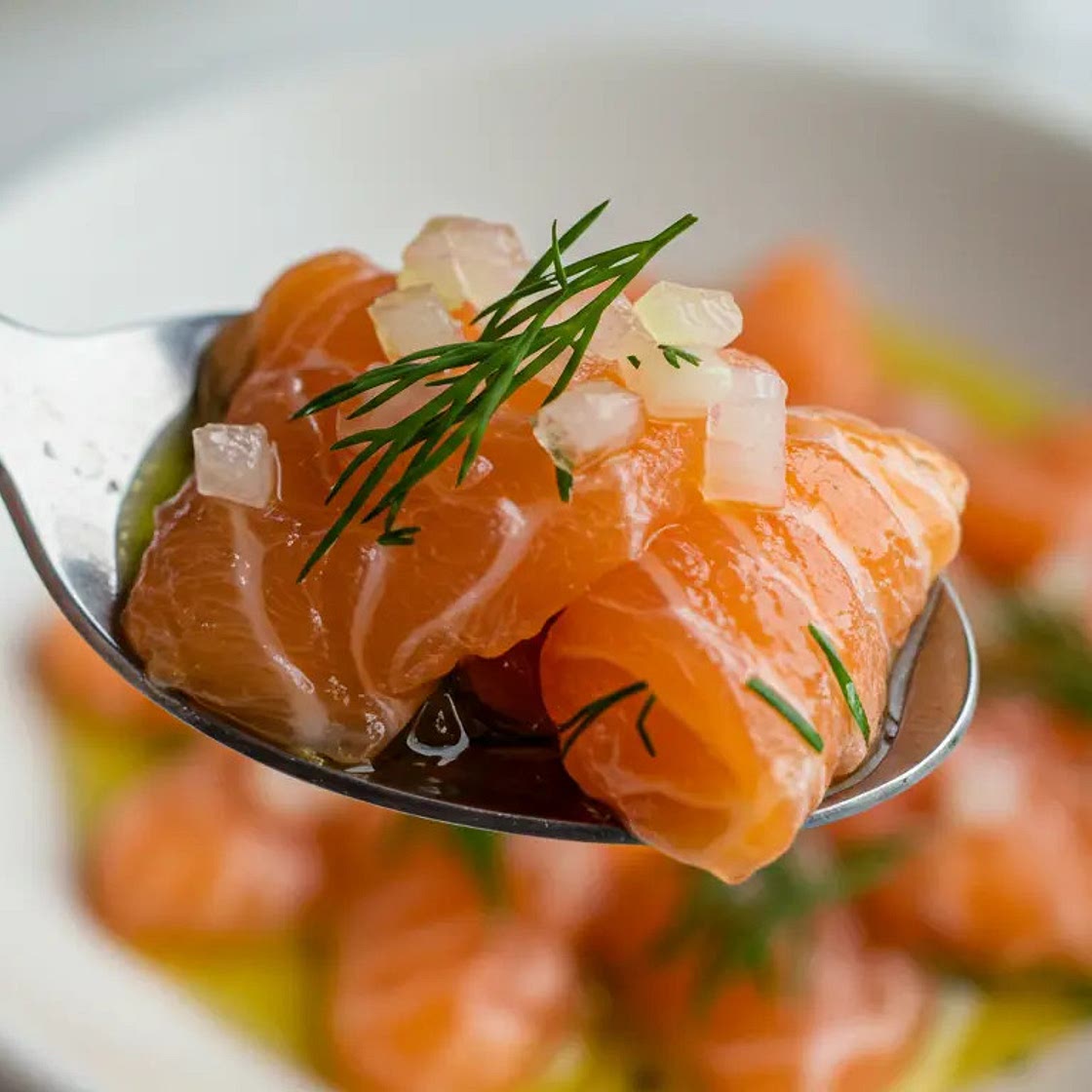Salmon Crudo