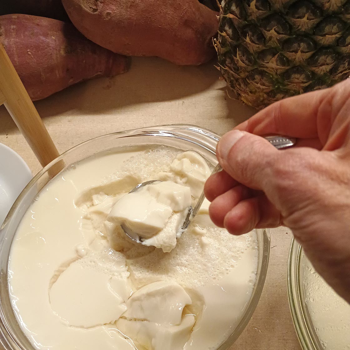 Silken Tofu