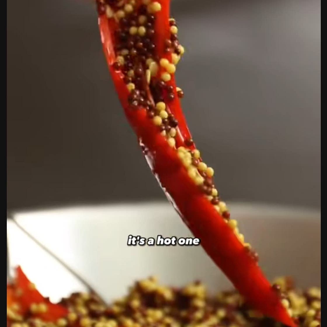 Spicy Fermented Mustard