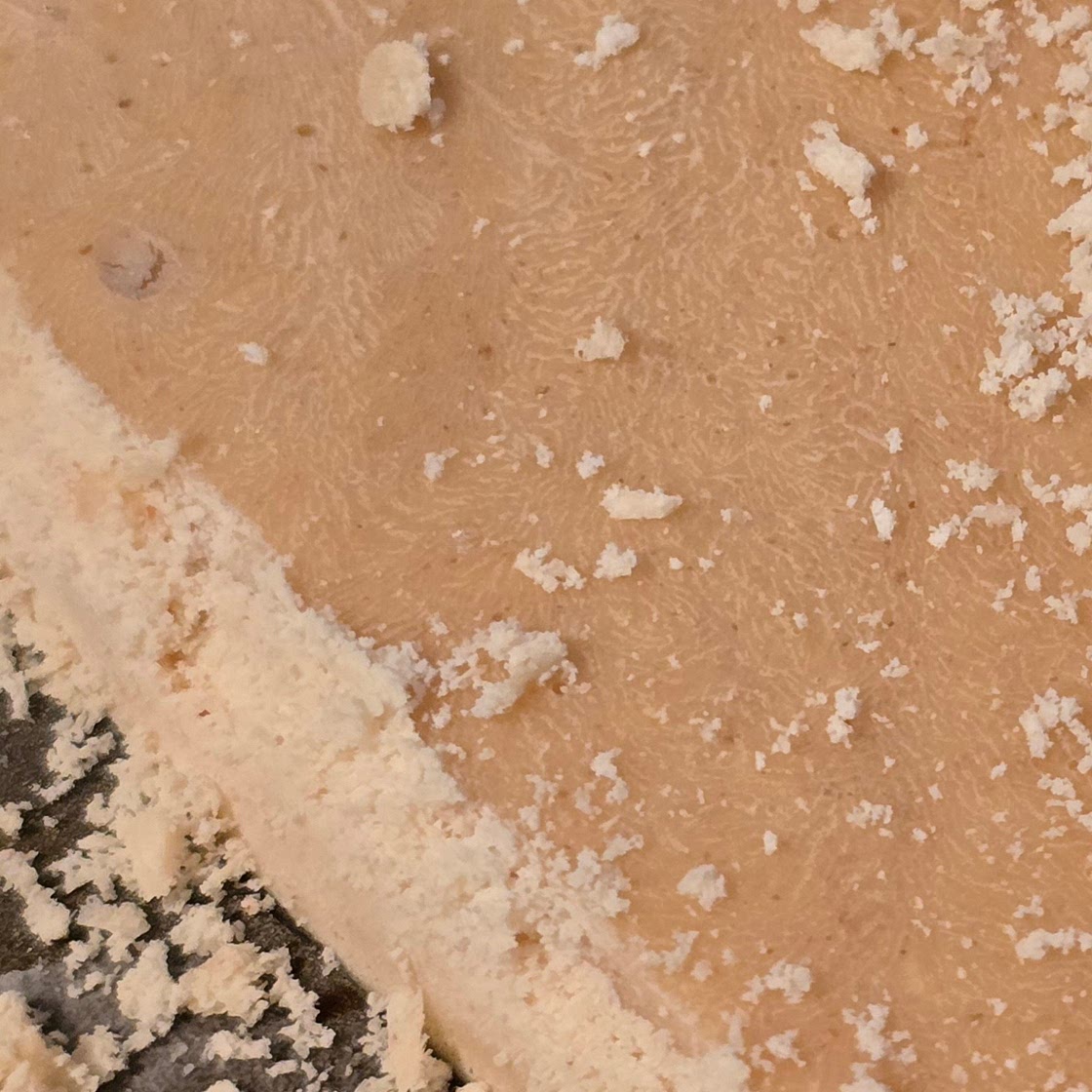 Cottage Bark w/ Peanut butter