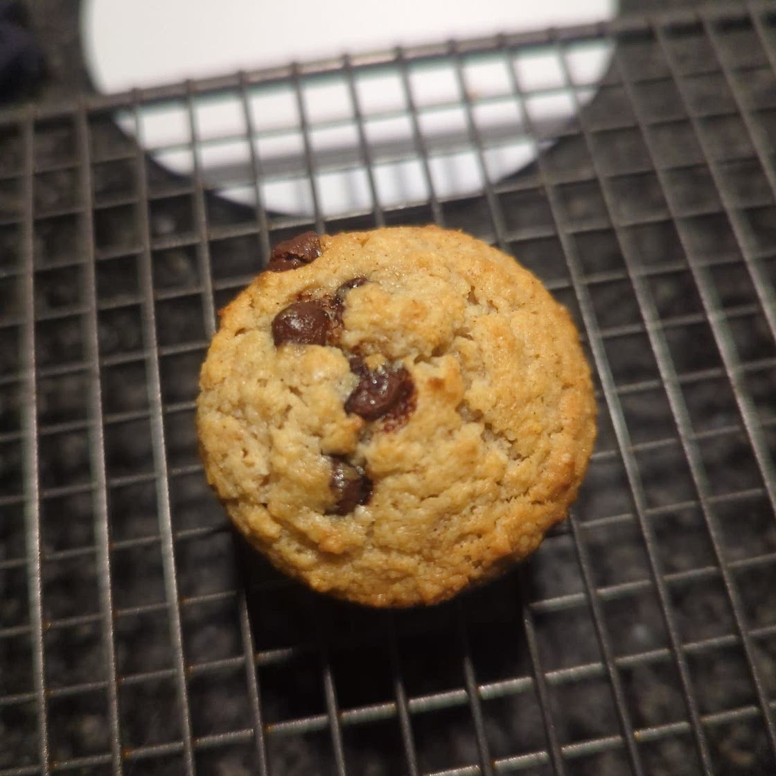 Almond Flour Chocolate Chip Muffins