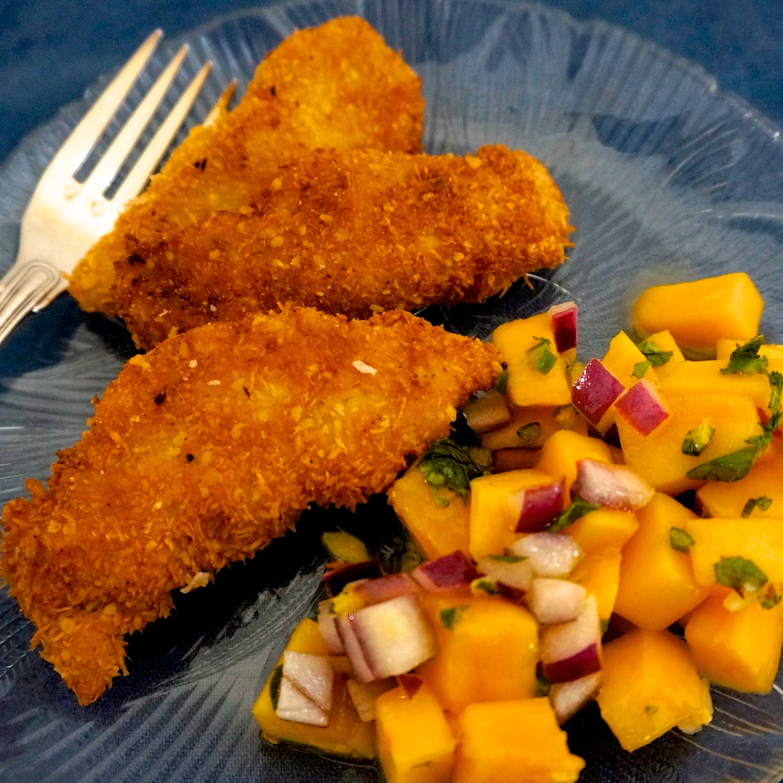 Coconut Crusted Chicken — Ronnie Fein