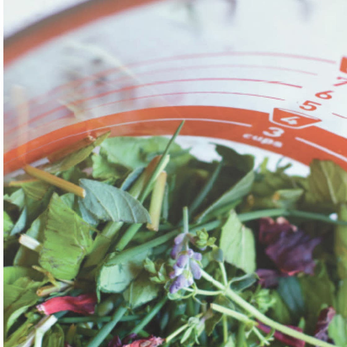 Peppermint Rosemary Lemon Hibiscus Cooler