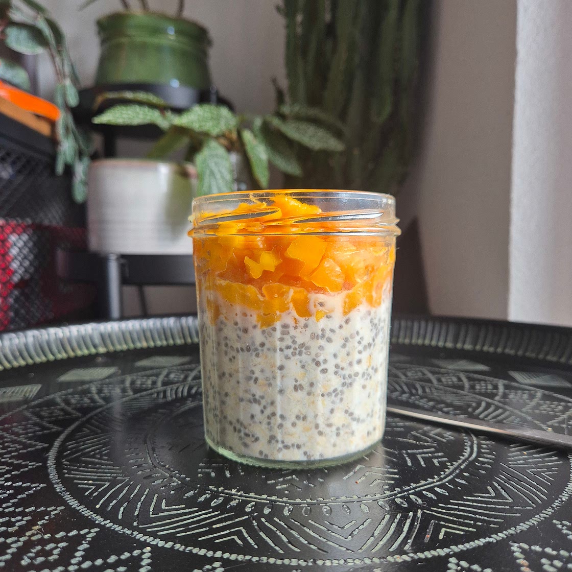 Oatchia Pudding coco