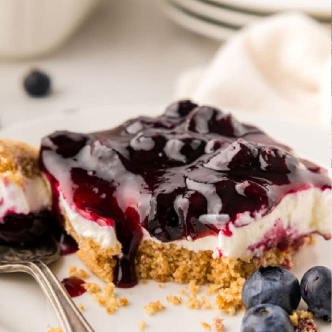 DeCarma‘s (Mom‘s)Blueberry Dessert 