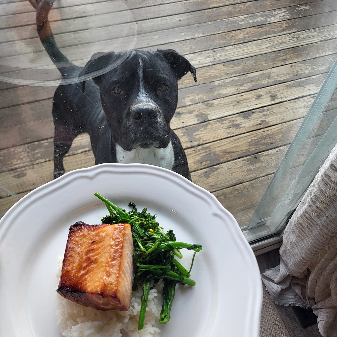Miso Glazed Salmon