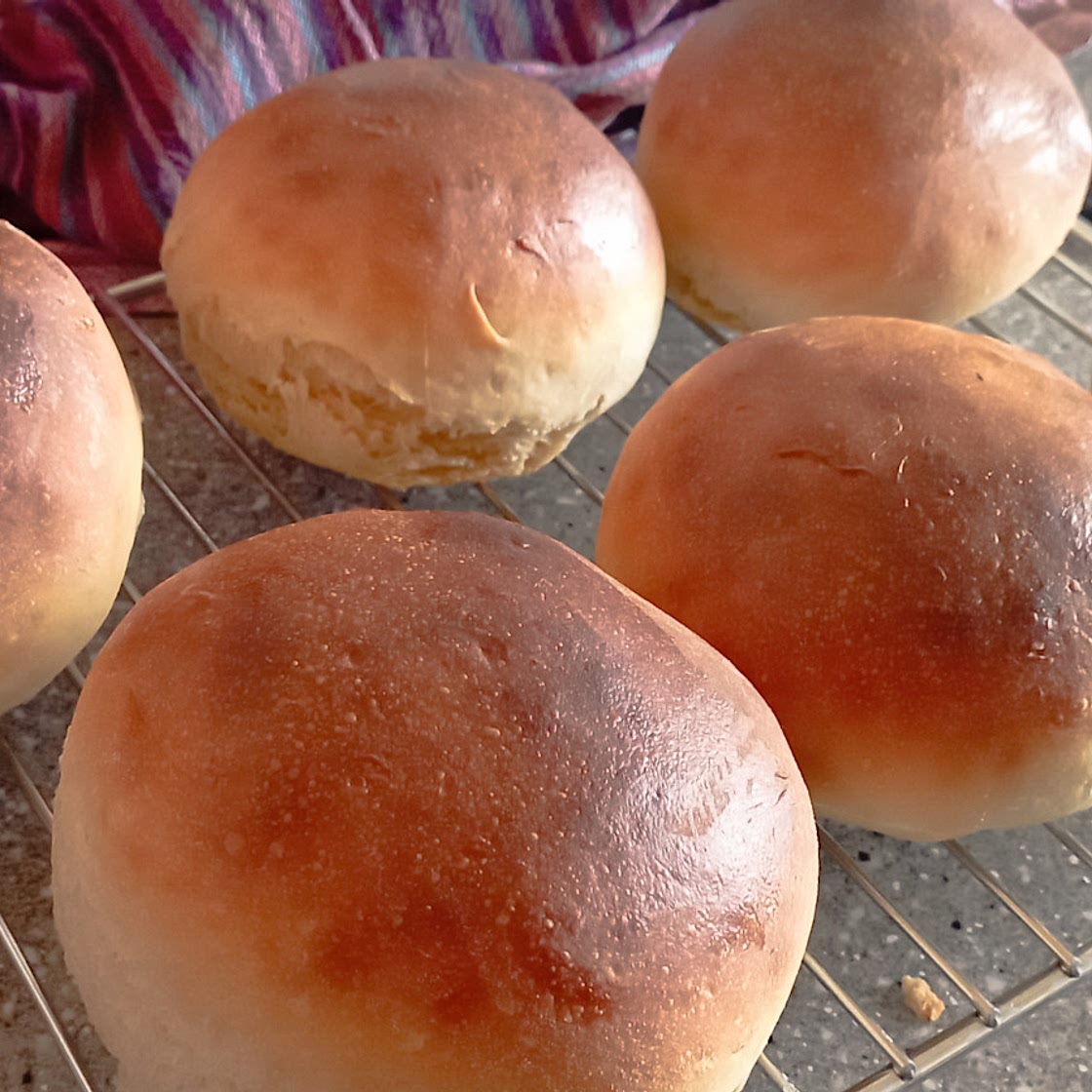 Soft sourdough rolls
