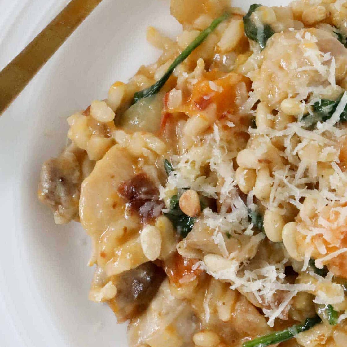 Baby-Friendly Chicken & Pumpkin Risotto (Base for Risotto Balls)