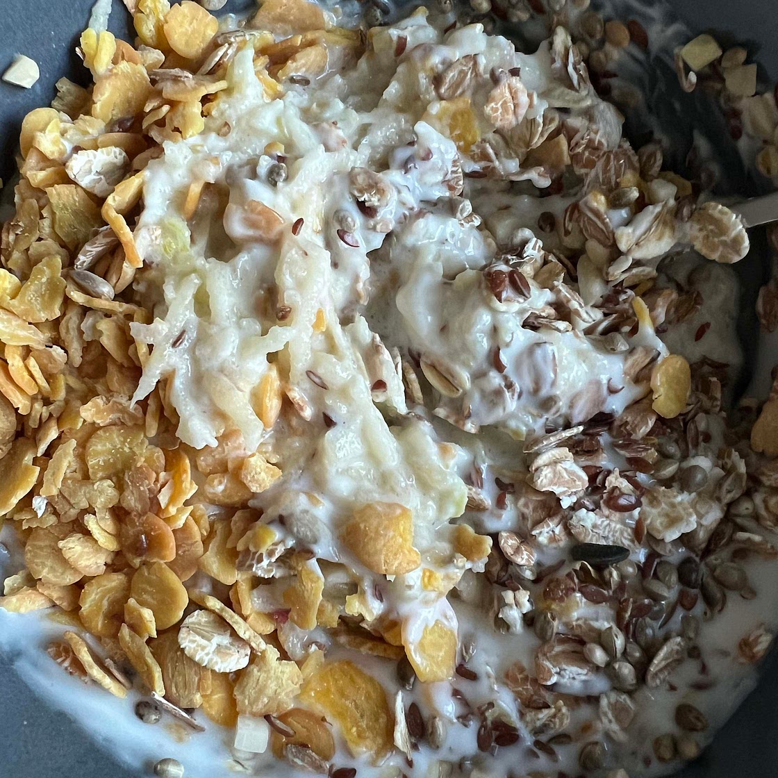 Soja-Flocken Porridge mit geriebenem Apfel