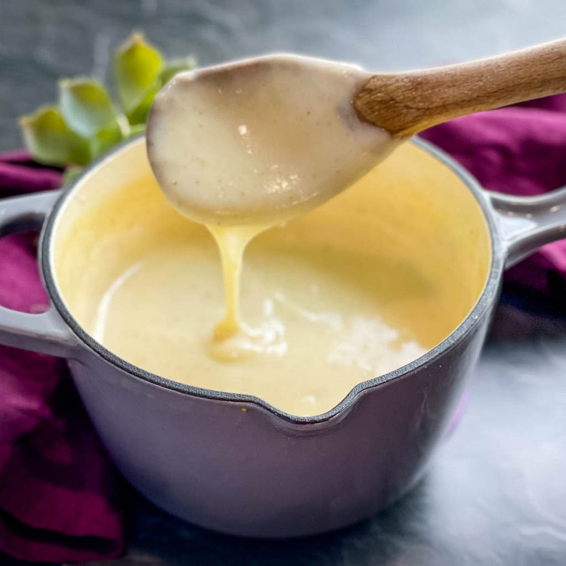 Homemade Cream of Chicken Soup