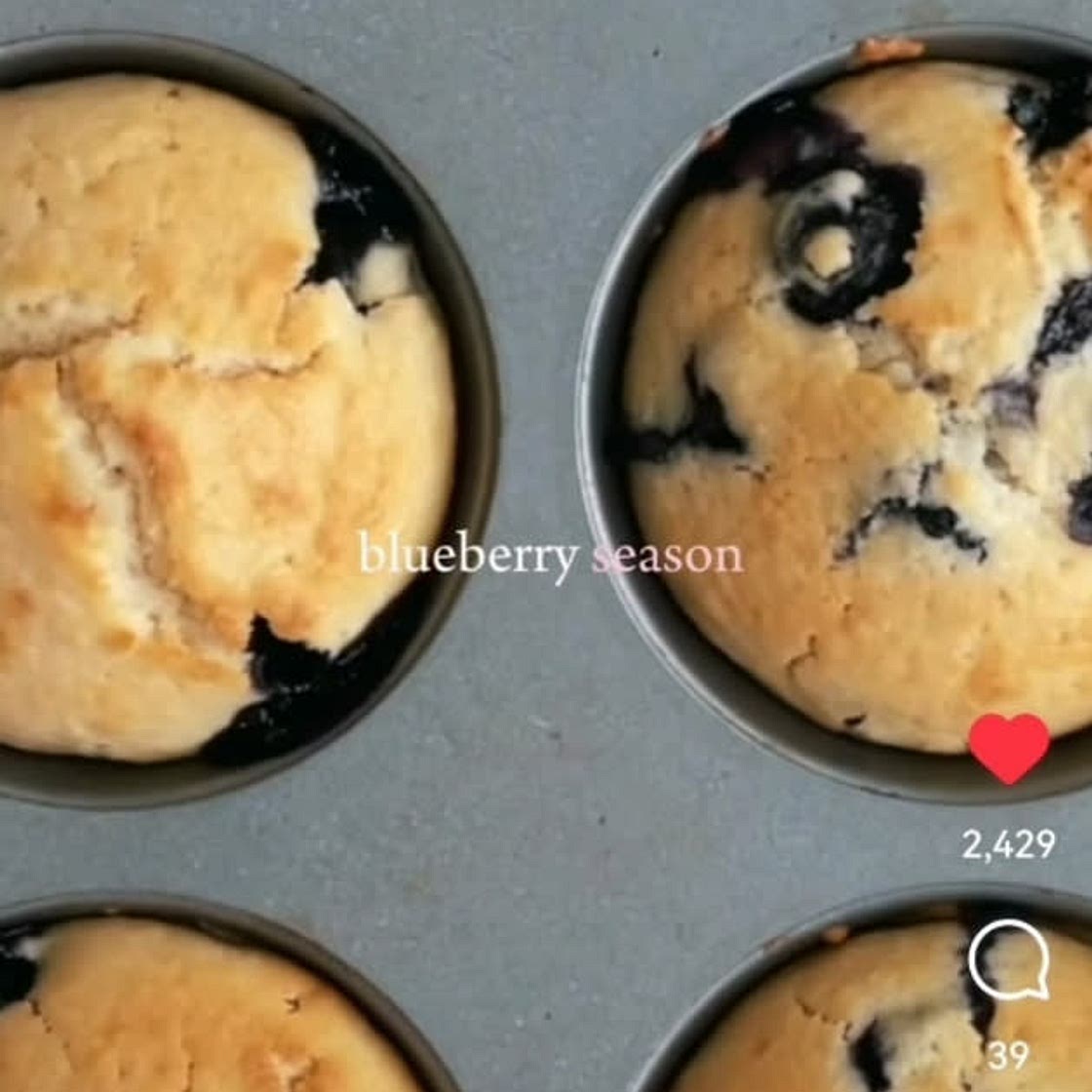 Blueberry muffins (217)