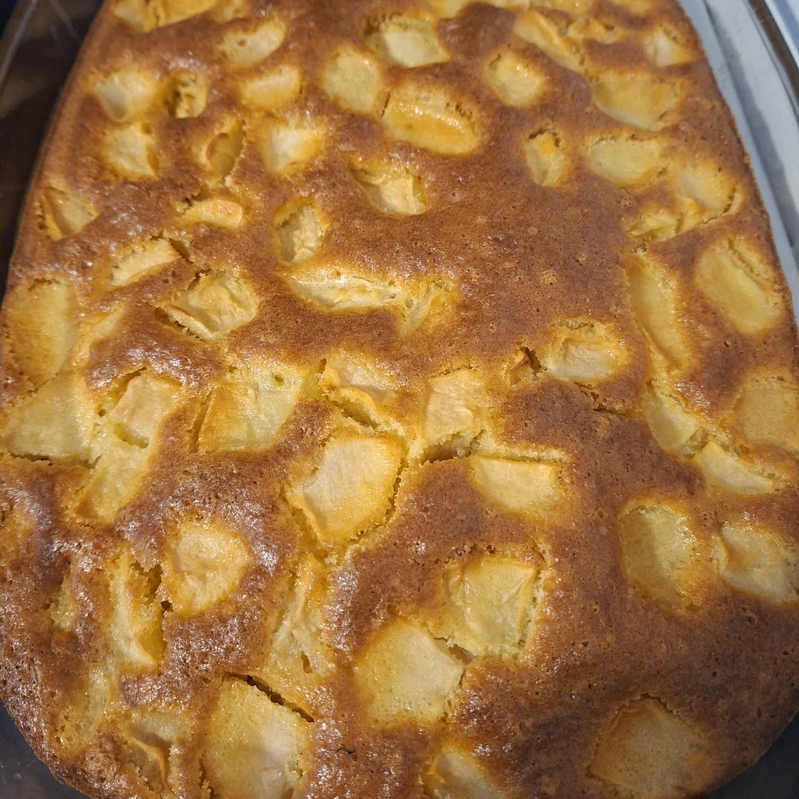 Apfelkuchen mit Vanillepudding