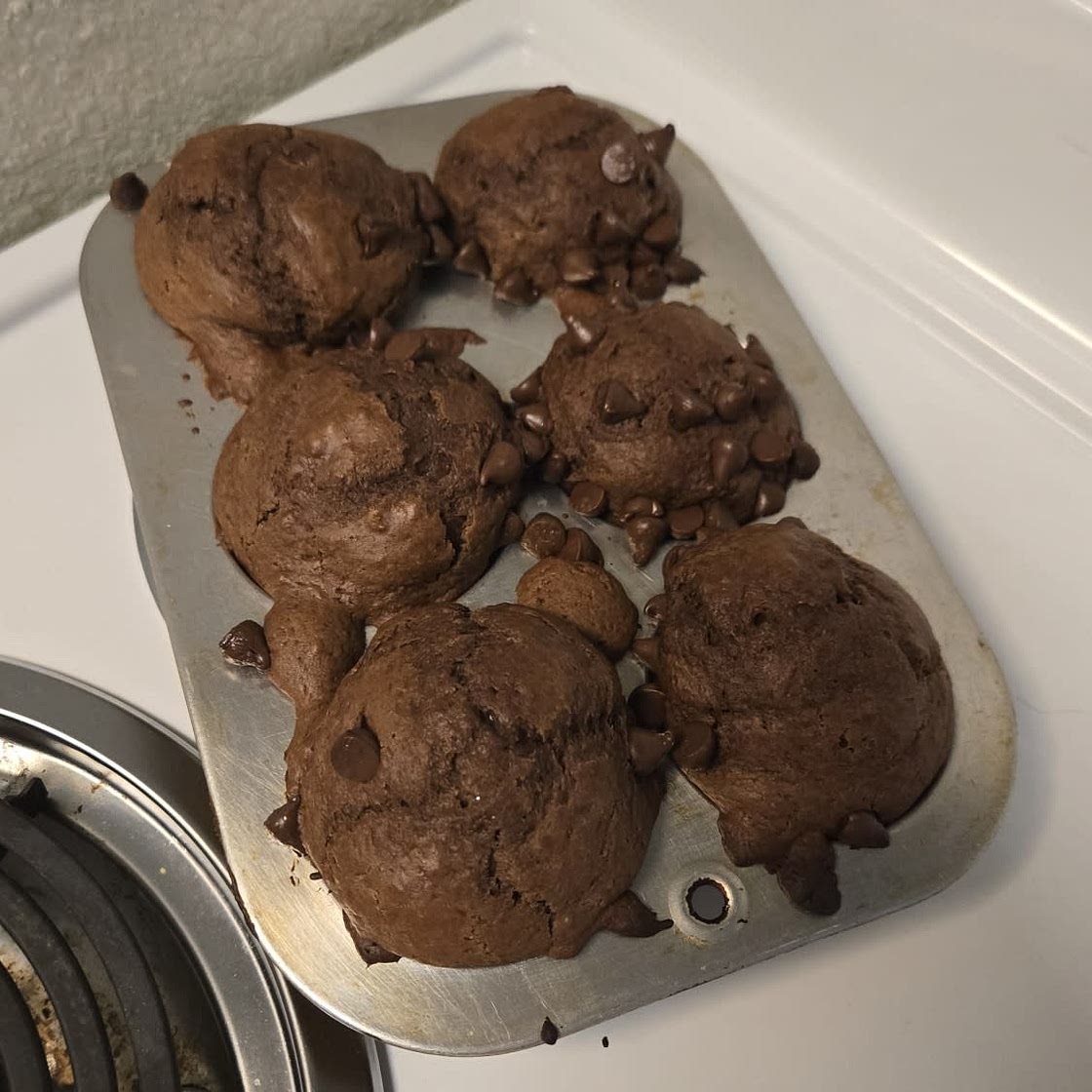 Muffin masters double chocolate muffin