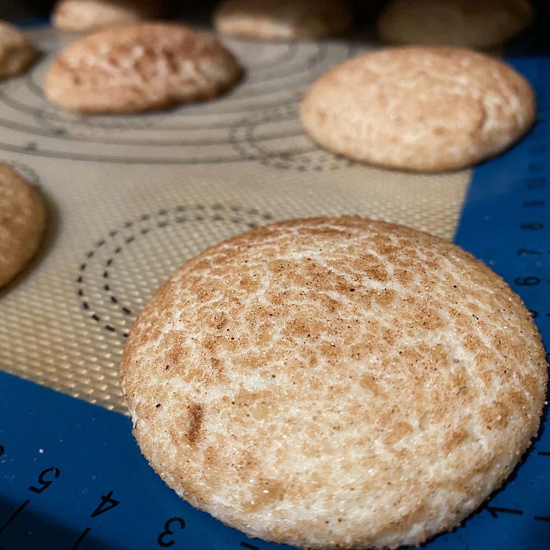 The Best Snickerdoodle Cookie Recipe