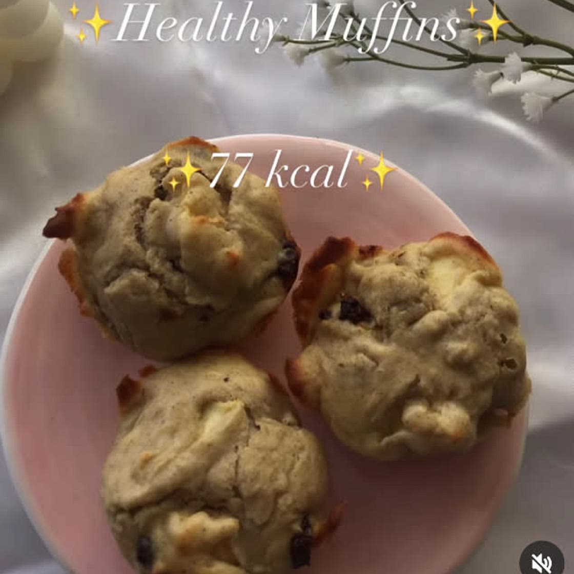 Healthy Apple Muffins(80)