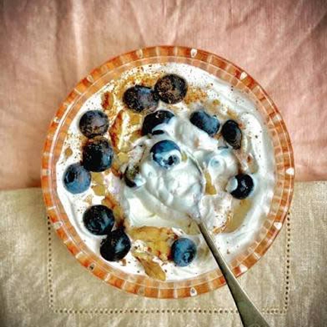 Greek Yogurt topped with Blueberries Chia Seeds, and Cinnamon