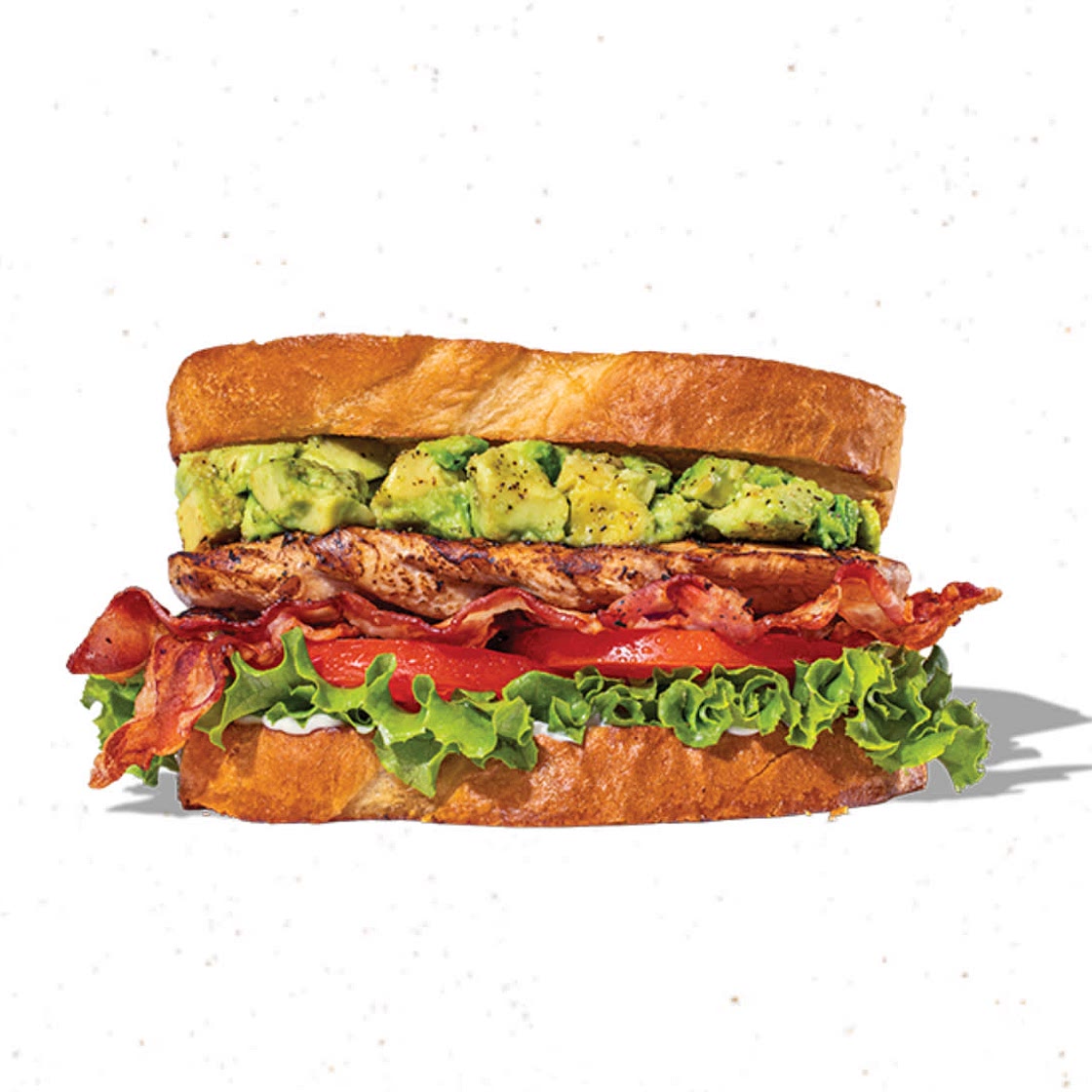 Habit Burger Chicken Club Sandwich