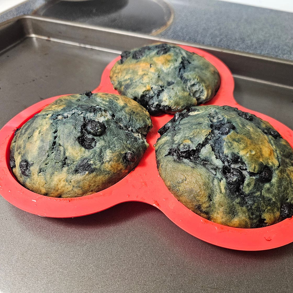 Bo-berry biscuits