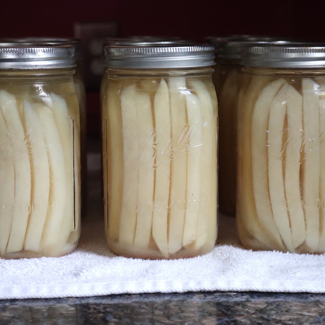Canning French Fries