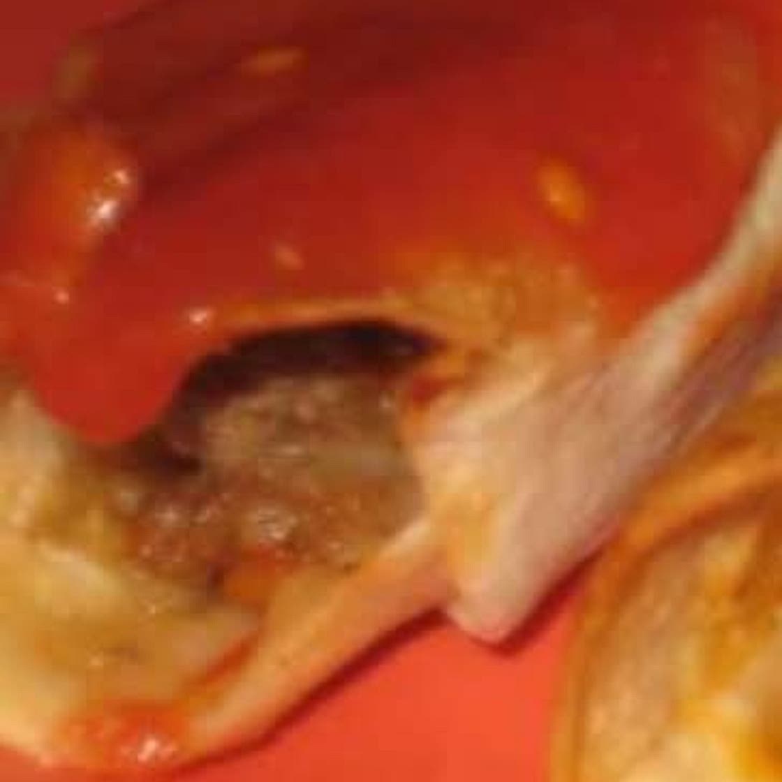 Lazy Taquitos Casserole
