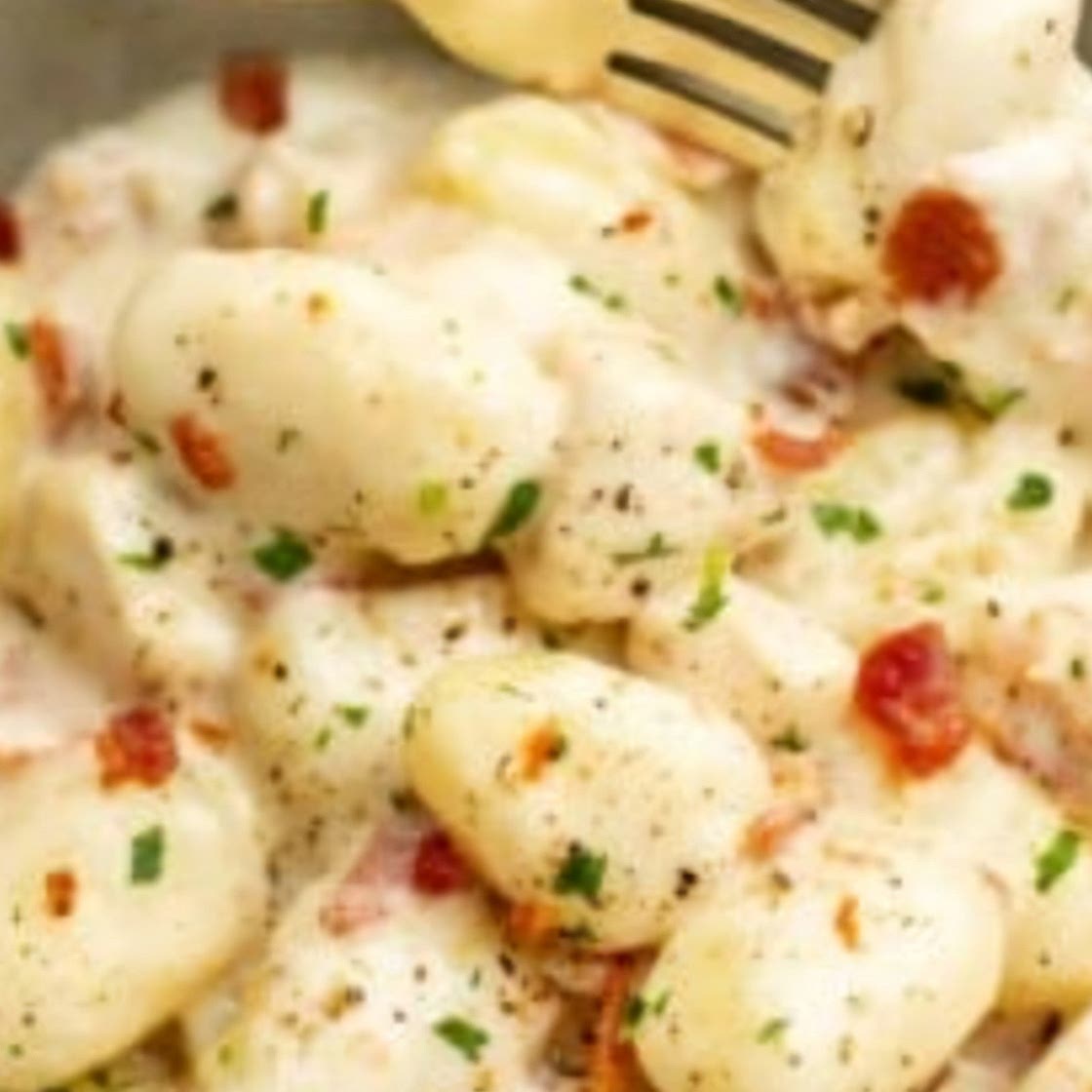 Creamy Leek Gnocchi