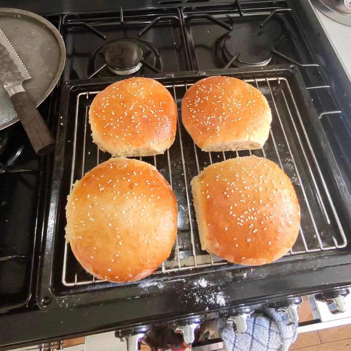 Homemade Hamburger Buns