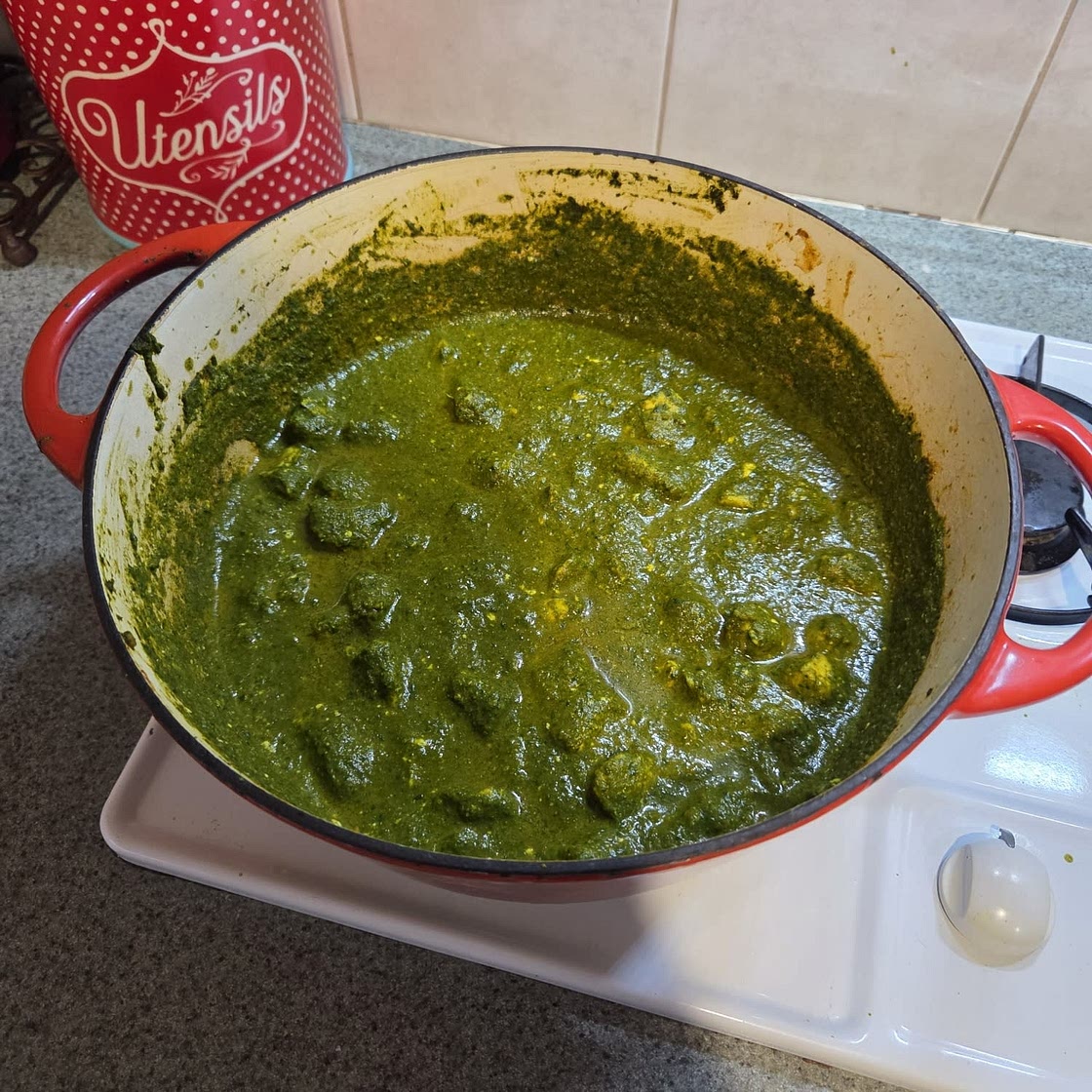 Chicken Saag (Chicken and Spinach Curry)