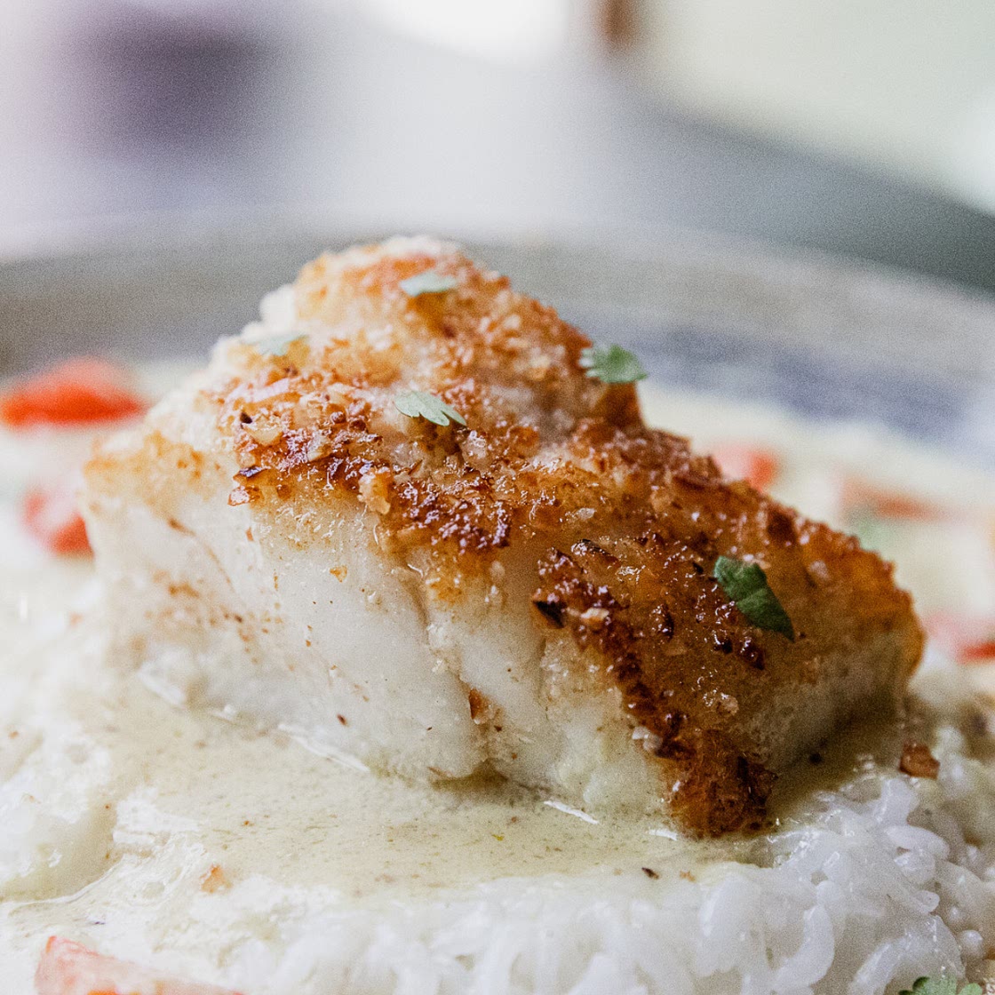 Macadamia Crusted Lingcod with Thai Green Curry Sauce