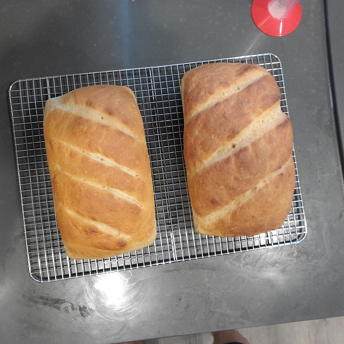 Country loaf (no knead option)