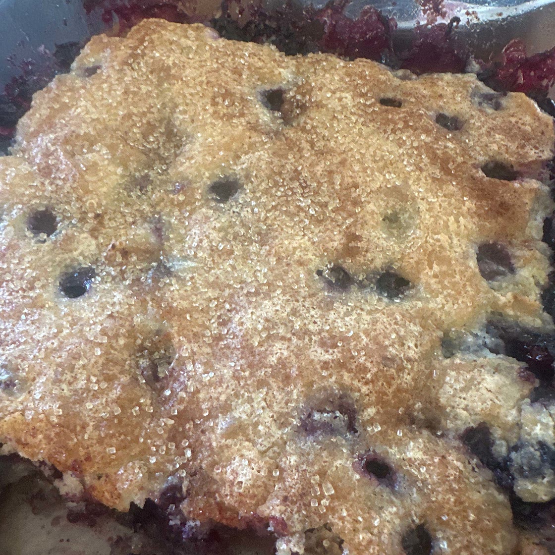 Blueberry Cobbler