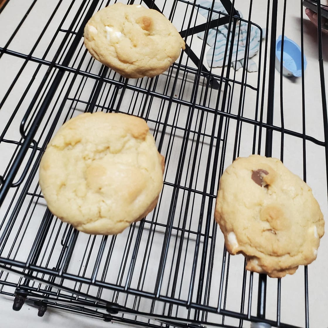 The Best Chocolate Chip Cookie Recipe Ever